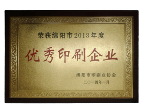 绵阳市2013年度******印刷企业